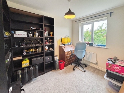 Picture 13